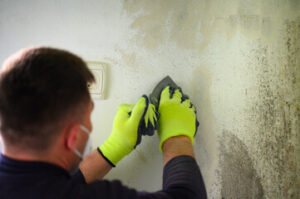 Mold Cleaning